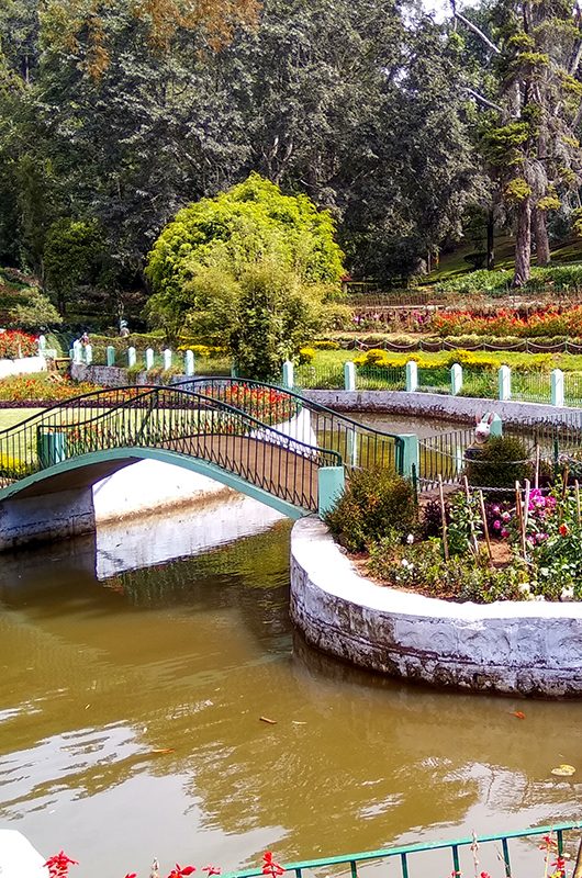 Sims park in ooty