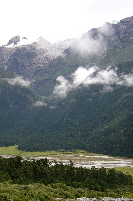 The mist covered craggy snow-melted mountains during monsoon look mesmerizing at Yumthang Valley situated at 12,000 ft altitude in Sikkim, India. 