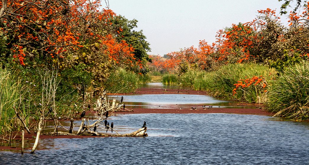 Sita-Mata-Wildlife-Sanctuary