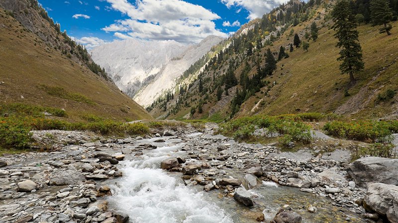 Srinagar's natural and cultural wonders