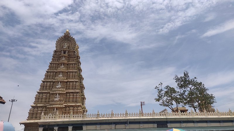 Mysuru’s royal exploration
