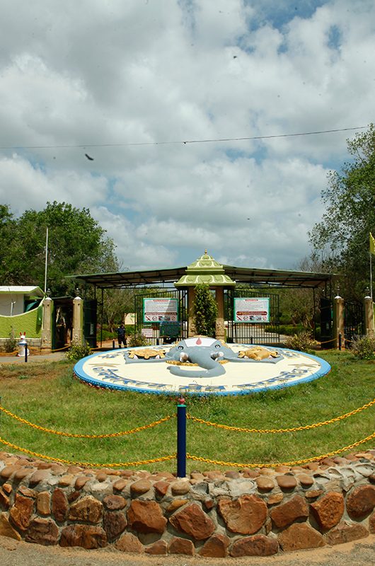 sri-venkateswara-national-park