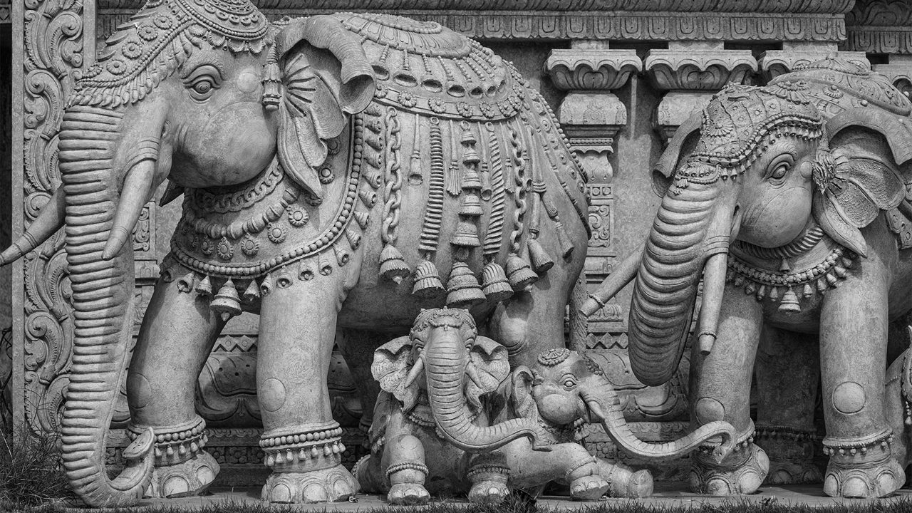 Stone sculptures of elephants in a Hindu temple