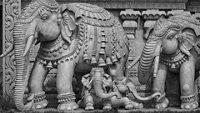 Stone sculptures of elephants in a Hindu temple