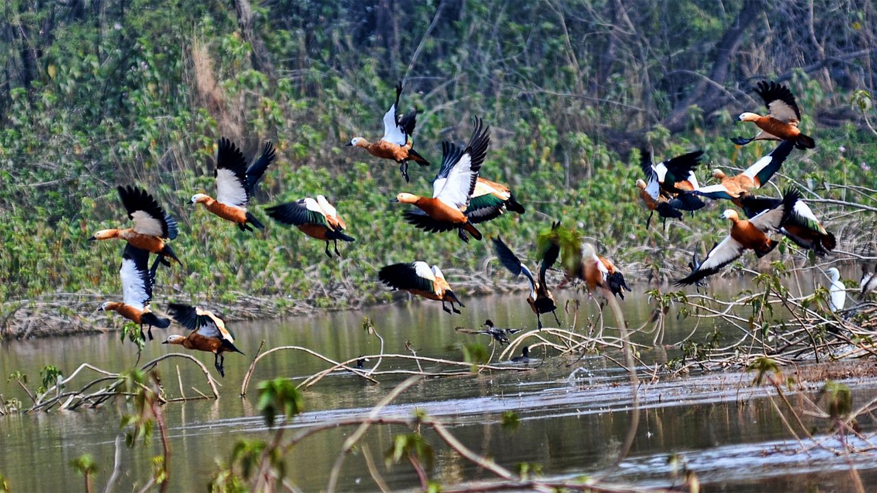 sukhna-wildlife-sanctuary-chandigarh-1-attr-hero