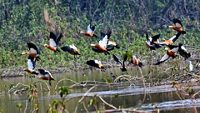 sukhna-wildlife-sanctuary-chandigarh-1-attr-hero
