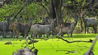 sukhna-wildlife-sanctuary-chandigarh-1-musthead-hero