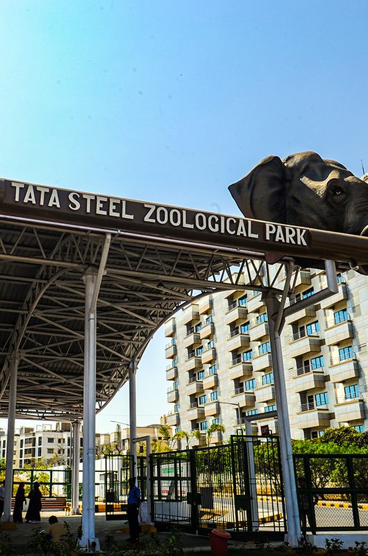 tata-steel-zoological-park-jamshedpur-jharkhand-1-new-attr-nearby