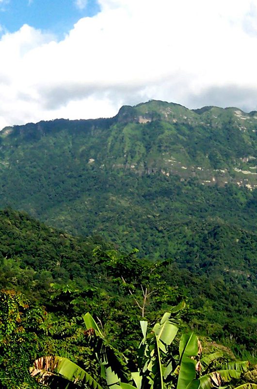 tawi-wildlife-sanctuary-aizawl-mizoram-1-attr-nearby