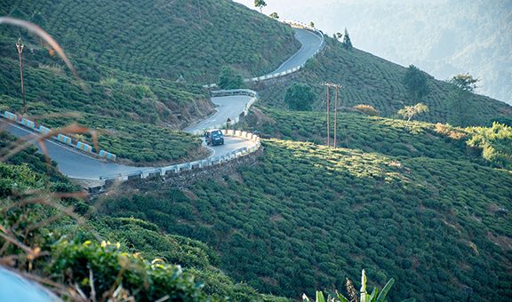 Beautiful road from Kurseong to Siliguri with tea garden both side of the road.