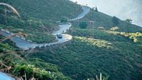 Beautiful road from Kurseong to Siliguri with tea garden both side of the road.