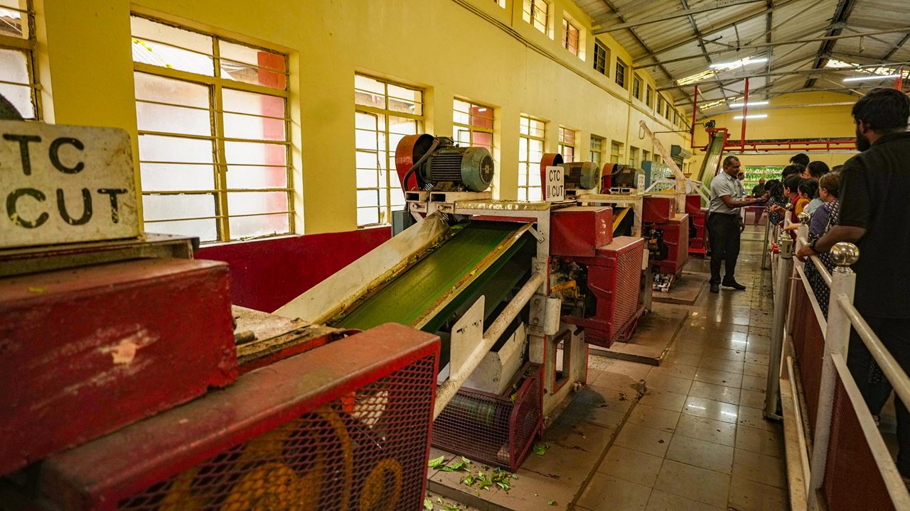 tea-museum-munnar-kerala-1-attr-hero