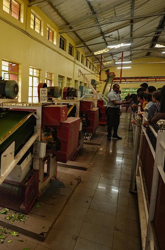 tea-museum-munnar-kerala-1-attr-nearby