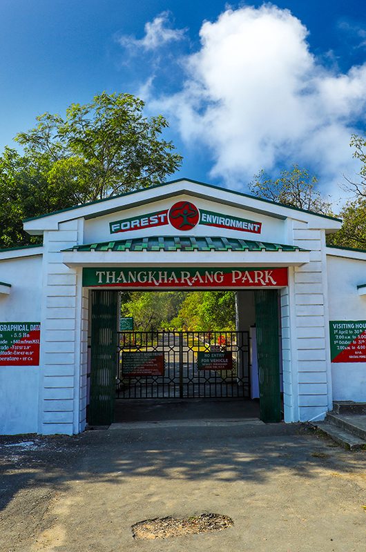 thangkharang-park-cherrapunjee-meghalaya-1-attr-nearby