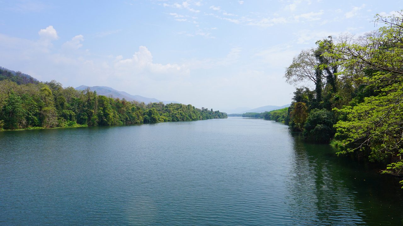 Thattekad Bird Sanctuary Kerala India