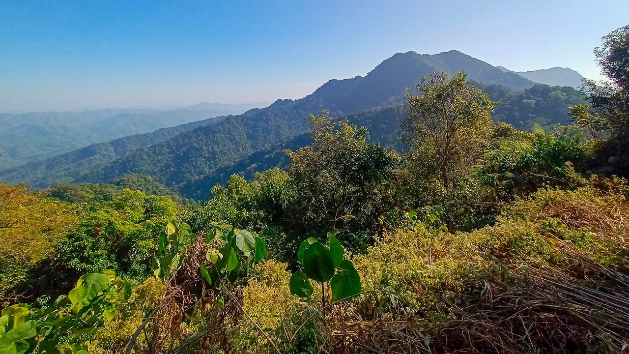 thorang-wildlife-sanctuary-lunglei-mizoram-2-attr-hero