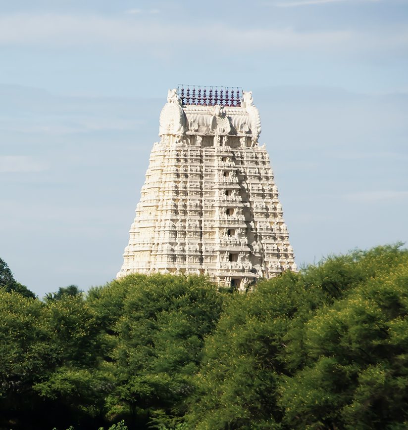 India Tirumala Venkateswara Temple, Tirupati, Andhra Pradesh. The main temple is a magnificent example of the fine Indian temple architecture.