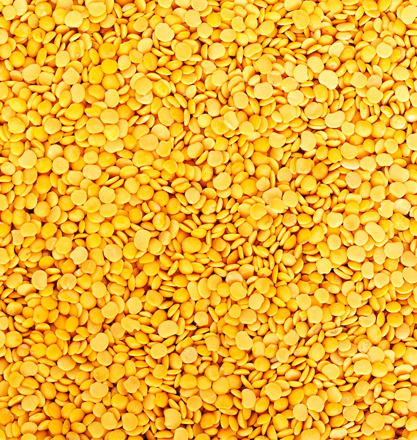 Toor dal, famous Indian legume also called yellow Pigeon peas