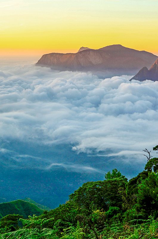 top-station-munnar-kerala-1-attr-nearby