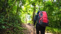 trekking