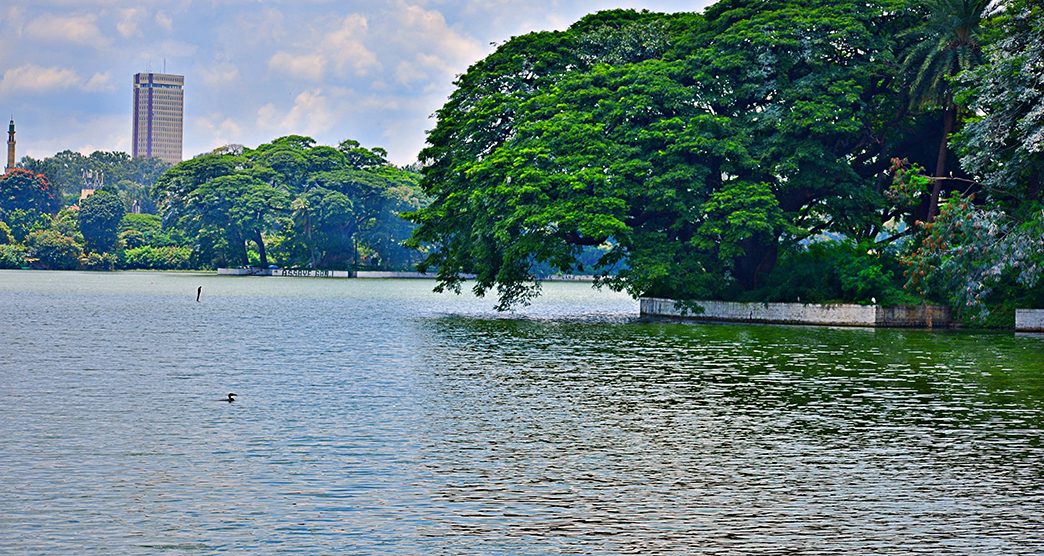 ULSOOR LAKE VIEW