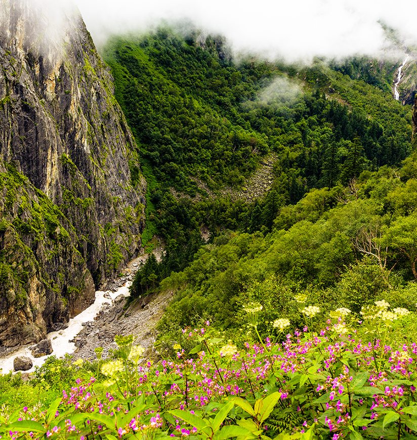 Waterfalls at Valley of Flowers, Nanda Devi biosphere national park. It is a beautiful Trek in Uttarakhand. Amazing landscape, mountains, hills, foggy, misty, rain, monsoons, colorful flowers.