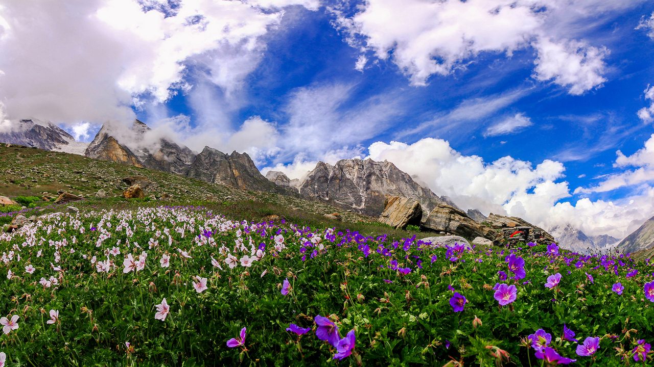 blooming valley ,This is  Chakratirth valley on a cloudy evening , en route satopanth Swargarohini trek.uttarakhand india.