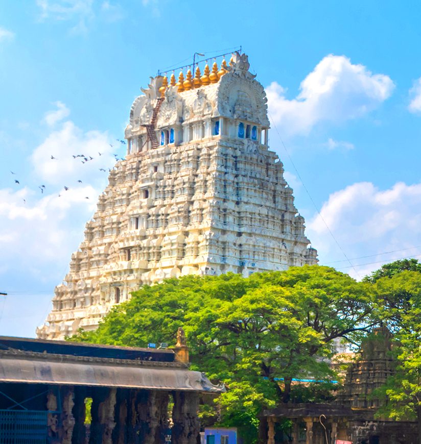 varadharaja-perumal-koil-kanchipuram-tamil-nadu-city-ff