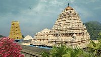 Hindu Narasimha temple located in the Visakhapatnam City suburb of Simhachalam in Andhra Pradesh, South India