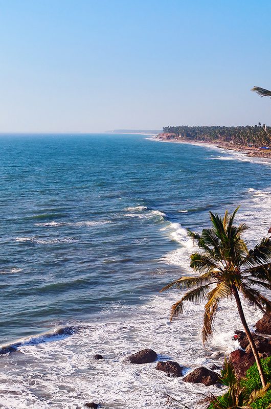 View of Varkala beach and palm trees. Kerala. India