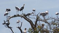 veerapuram-bird-sanctuary-anantapur-ap-1-attr-hero