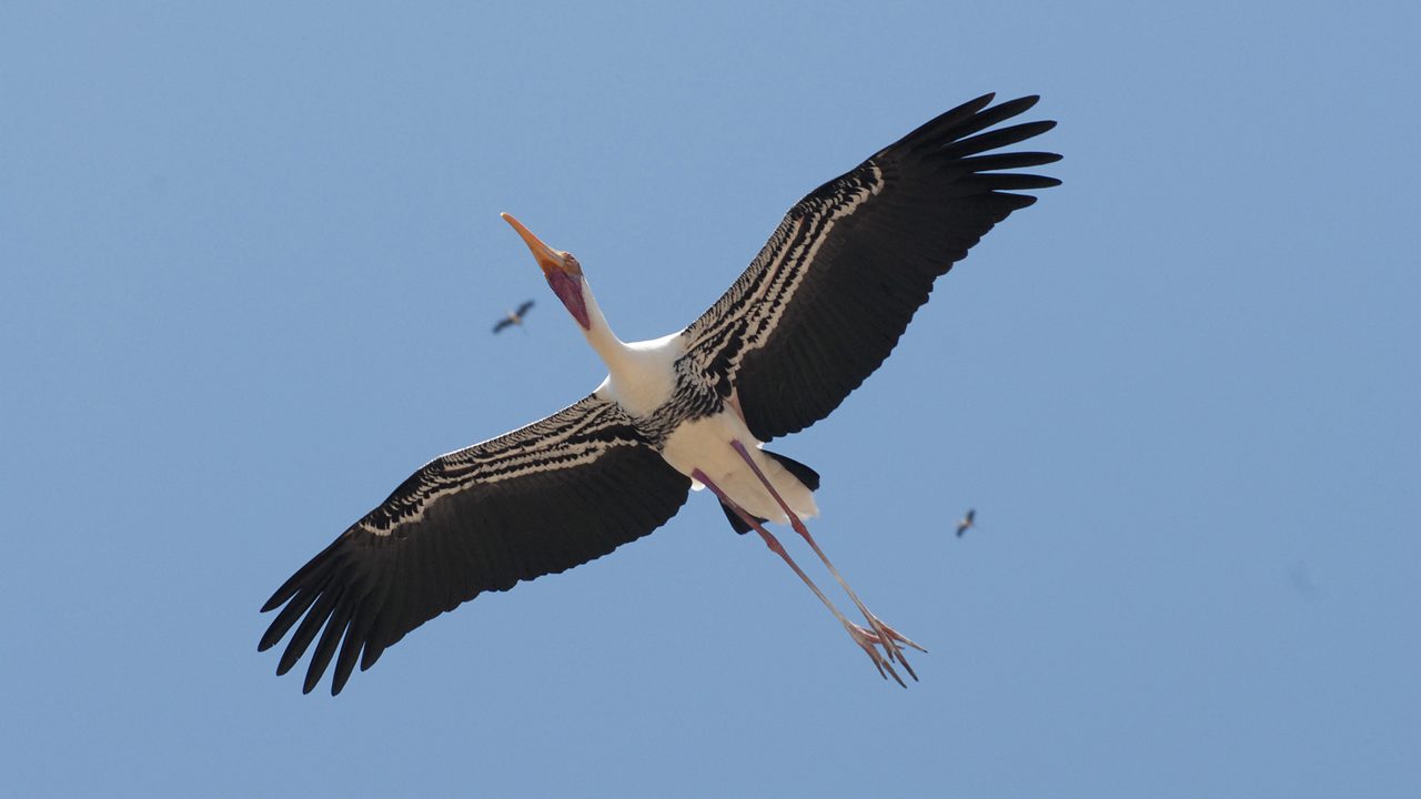 veerapuram-bird-sanctuary-anantapur-ap-2-attr-hero
