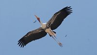veerapuram-bird-sanctuary-anantapur-ap-2-attr-hero