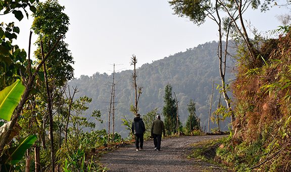 Early morning walk in remote village of himalya mountain of Kalimpong.