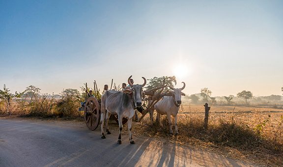 village-walk-rural-activity