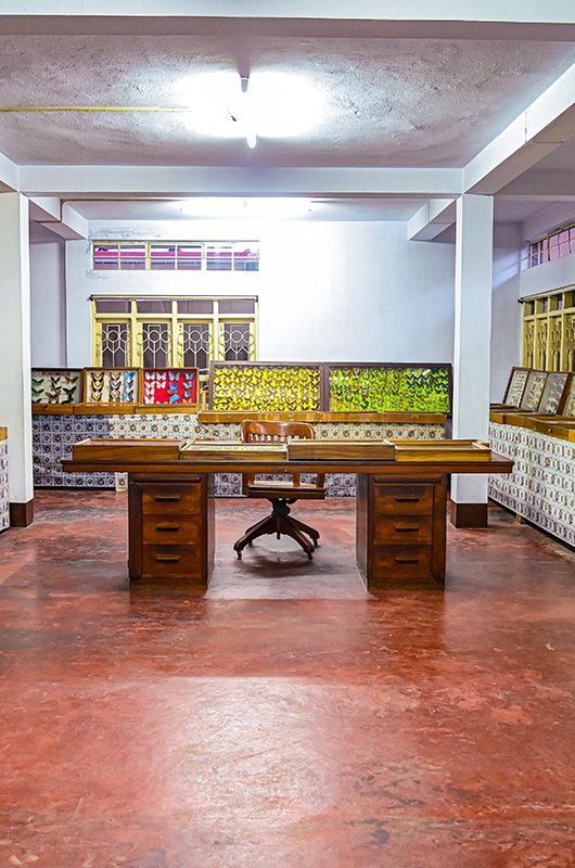 wankhar-entomological-museum-shillong-meghalaya-1-attr-nearby