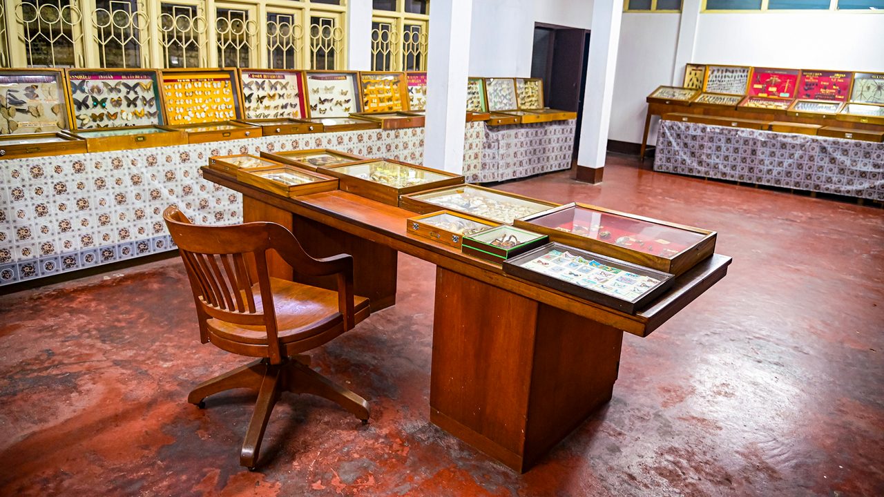 wankhar-entomological-museum-shillong-meghalaya-2-attr-hero