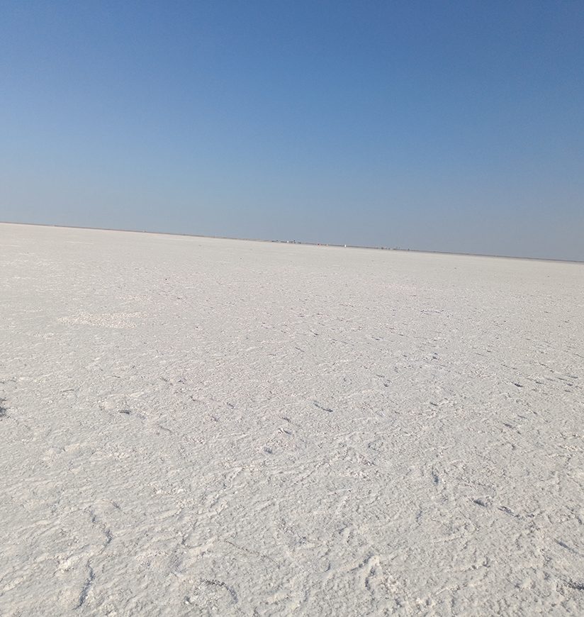 Rann of kutch sand dunes of white dessert