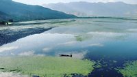 Wular Lake The Largest Fresh Water Lake In Kashmir Pakistan