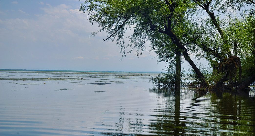 Wular Lake