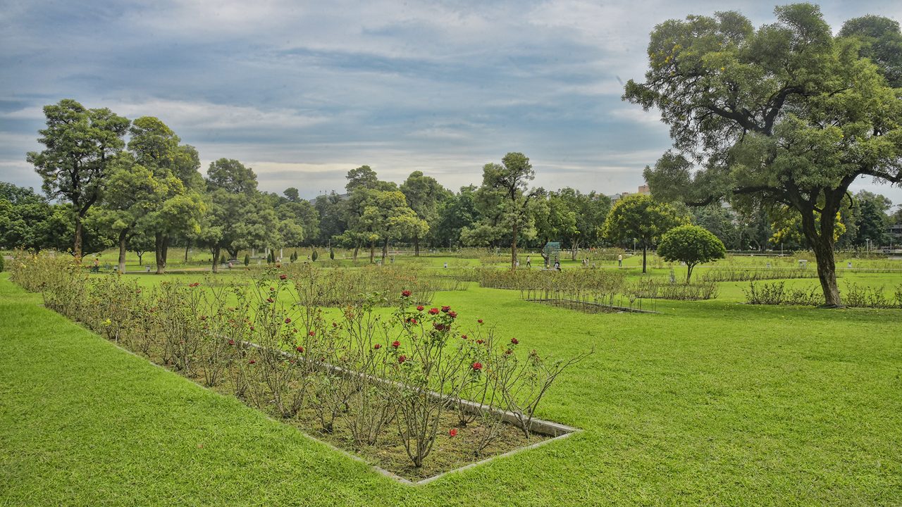 zakir-hussein-rose-garden-chandigarh-chandigarh-1-attr-hero