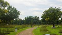 zakir-hussein-rose-garden-chandigarh-chandigarh-2-attr-hero