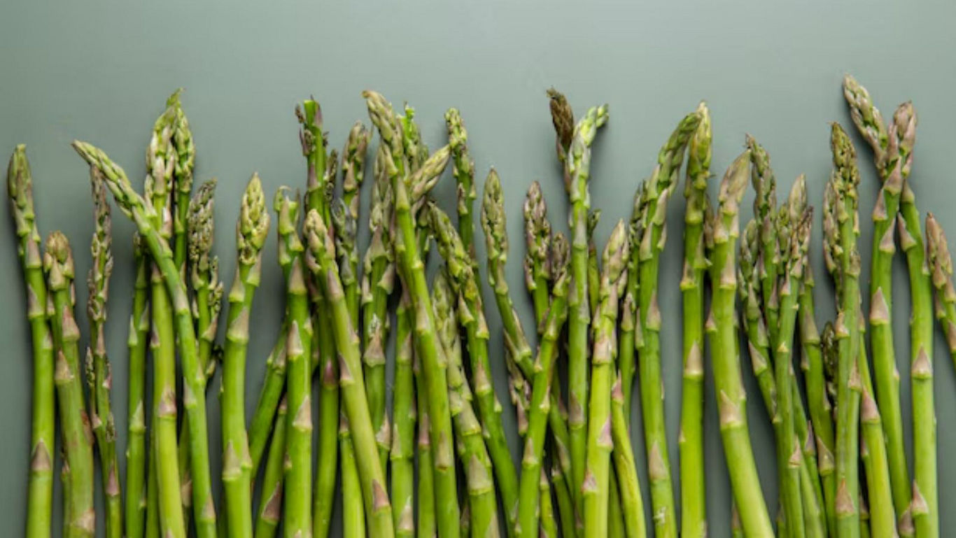 Fresh green asparagus spears on light background