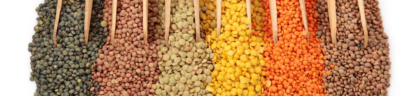 Low calorie indian foods for your diet - Right Shift