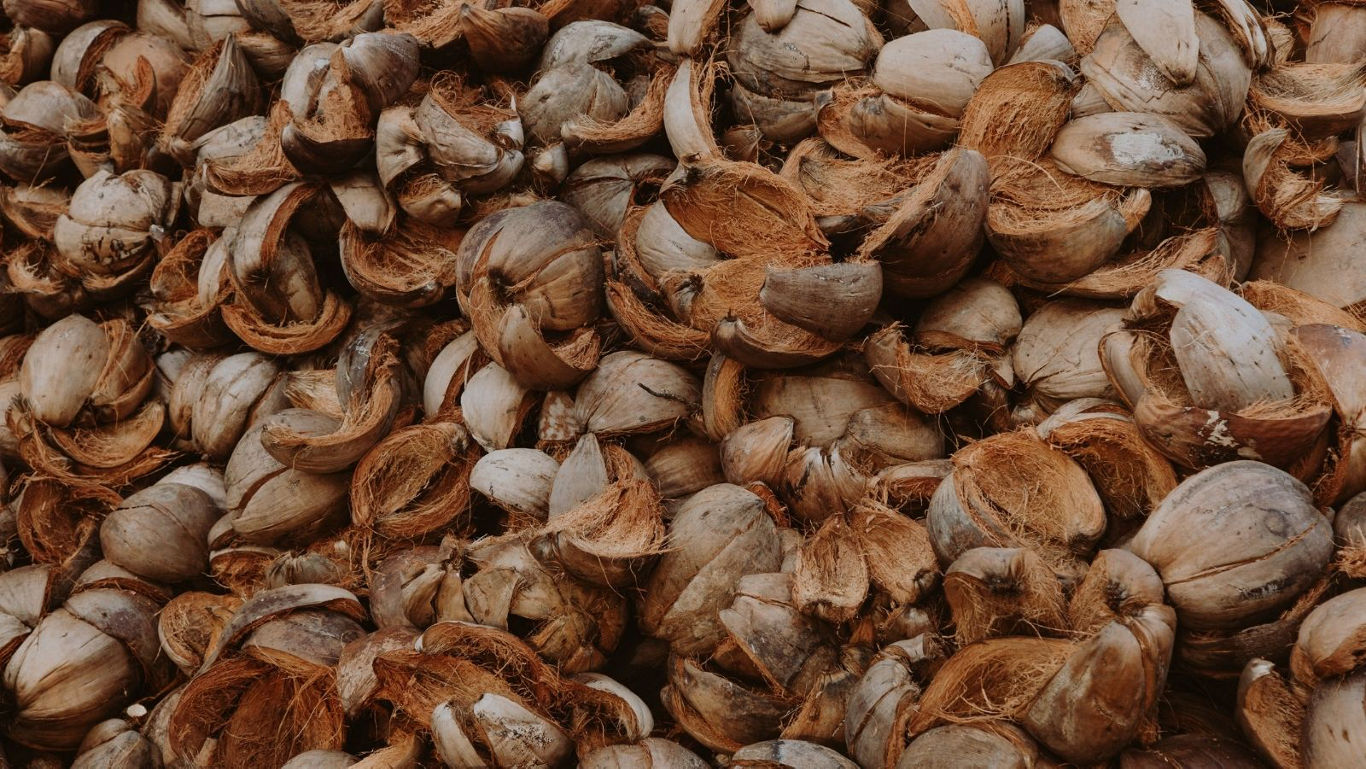 Pile of dried brown coconut shells