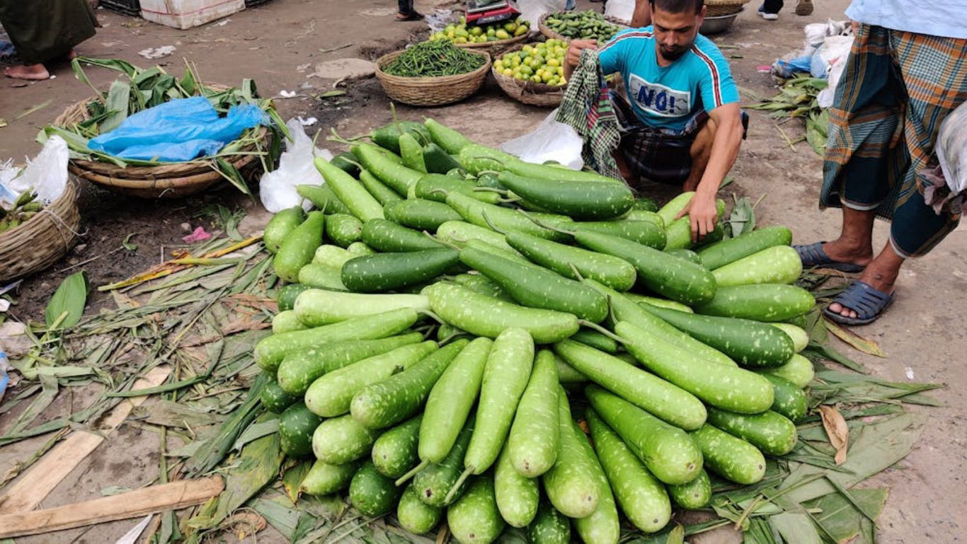 Large pile of bottle gourds at outdoor market