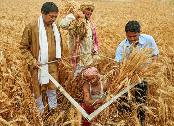 Choupal Pradarshan Khet