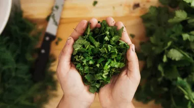 garnishing-instructions-image