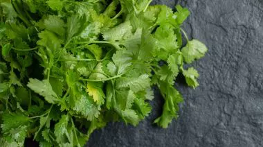 garnishing-instructions-image