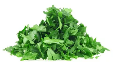 garnishing-instructions-image